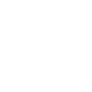 twitter - icon